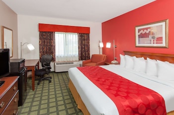 Room, 1 King Bed, Roll-in Shower, Non Smoking (Mobility/Hearing Accessible)