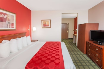 Room, 1 King Bed, Roll-in Shower, Non Smoking (Mobility/Hearing Accessible)