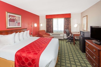 Room, 1 King Bed, Non Smoking