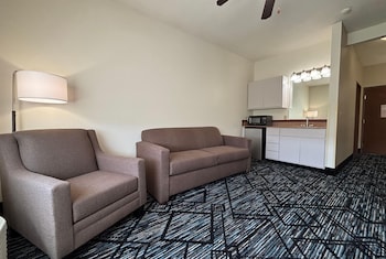 Suite, 1 King Bed, Non Smoking (One-Bedroom Suite)