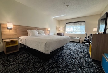 Room, 1 King Bed, Roll-in Shower, Non Smoking (Mobility/Hearing Accessible)