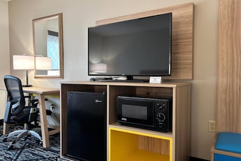 Room, 1 King Bed, Roll-in Shower, Non Smoking (Mobility/Hearing Accessible)