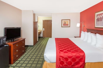 Room, 1 King Bed, Non Smoking