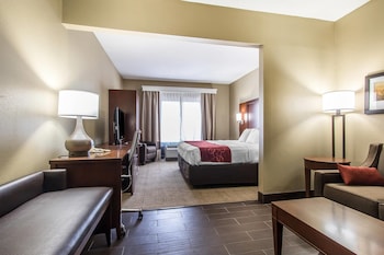 Suite, 1 King Bed with Sofa bed, Accessible, Non Smoking