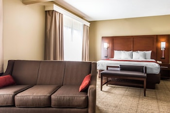 Suite, 1 King Bed, Non Smoking