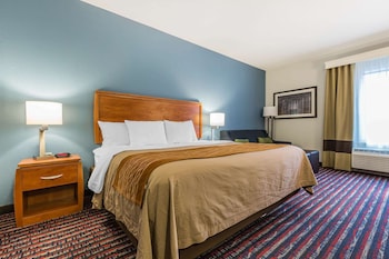 Room, 1 King Bed, Accessible, Non Smoking