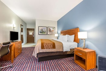 Standard Room, 1 King Bed, Non Smoking