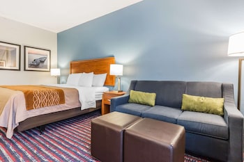 Room, 1 King Bed, Accessible, Non Smoking