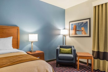 Standard Room, 1 King Bed, Non Smoking