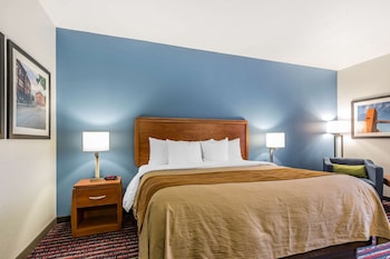 Standard Room, 1 King Bed, Non Smoking