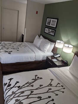 Standard Double Room, 2 Double Beds, Non Smoking
