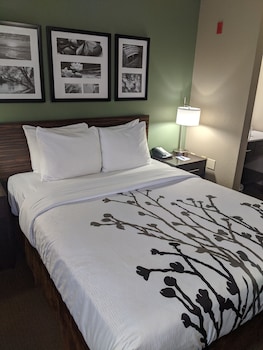 Standard Room, 1 Queen Bed, Non Smoking