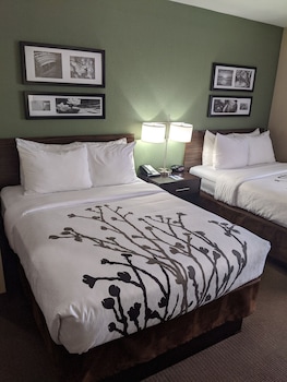 Standard Double Room, 2 Double Beds, Non Smoking