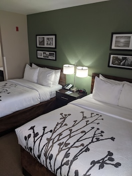 Standard Double Room, 2 Double Beds, Non Smoking
