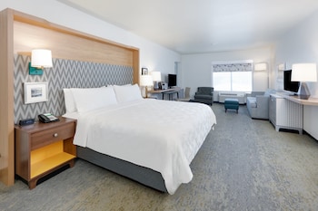 Standard Room, 1 King Bed with Sofa bed