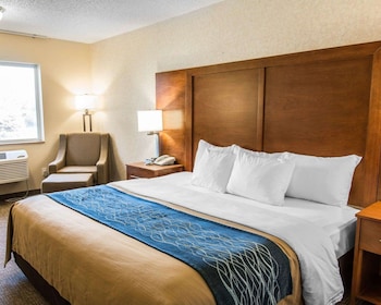 Business Room, 1 King Bed, Non Smoking