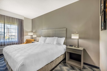 Comfort Room, 1 King Bed, Non Smoking (Roll-In Shower)