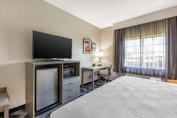 Comfort Room, 1 King Bed, Non Smoking (Roll-In Shower)