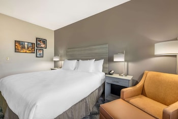 Comfort Room, 1 King Bed, Non Smoking (Walk-In Shower)