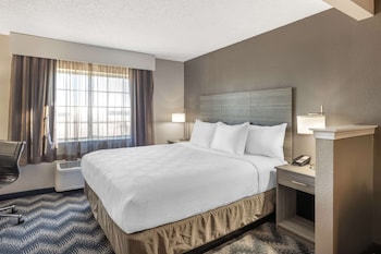 Junior Single Room, 1 King Bed with Sofa bed, Non Smoking