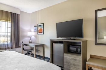 Comfort Room, 1 King Bed, Non Smoking (Walk-In Shower)