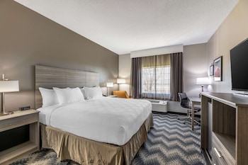 Comfort Room, 1 King Bed, Non Smoking (Walk-In Shower)