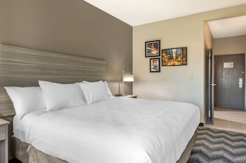 Comfort Room, 1 King Bed, Non Smoking (Roll-In Shower)