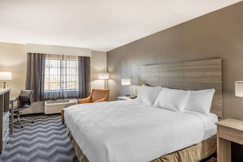 Comfort Room, 1 King Bed, Non Smoking