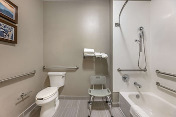 Comfort Room, 1 King Bed, Non Smoking (Walk-In Shower)