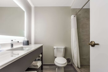 Suite, 1 King Bed, Non Smoking (Efficiency)