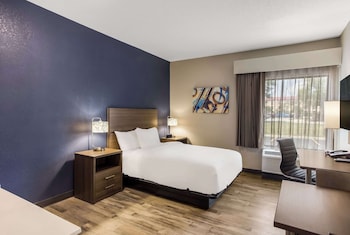 Suite, 1 Queen Bed, Accessible, Non Smoking (Efficiency, Roll-In Shower)