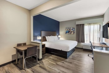 Suite, 1 King Bed, Non Smoking (Efficiency)
