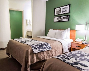 Standard Room, 2 Double Beds