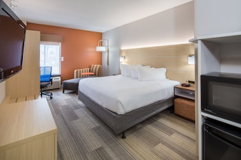 Standard Room, 1 King Bed, Accessible (Communications, Roll In Shower)