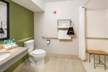 Standard Room, 1 King Bed, Accessible (Communications, Roll In Shower)