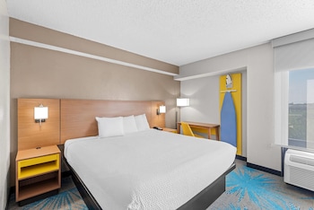 Suite, 1 King Bed