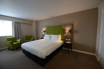 Standard Room, 1 King Bed, Accessible (WHEELCHAIR)