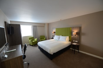 Standard Room, 1 King Bed, Accessible (WHEELCHAIR)