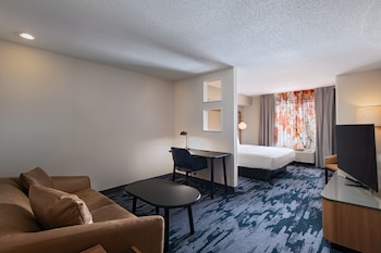 Executive Suite, 1 King Bed with Sofa bed