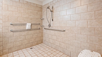 Standard Room, 1 King Bed, Accessible, Refrigerator & Microwave
