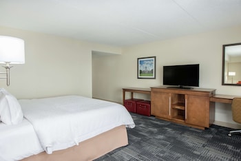 One king size bed with a queen sofa bed