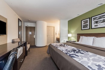 Room, 1 King Bed, Non Smoking