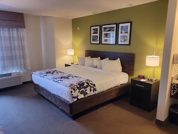 Room, Accessible, Bathtub