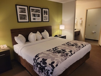 Room, 1 King Bed, Non Smoking