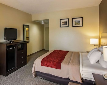 Standard Room, 1 King Bed, Non Smoking