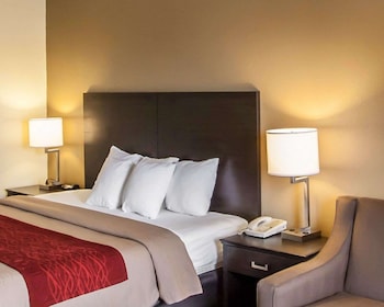 Standard Room, 1 King Bed, Non Smoking