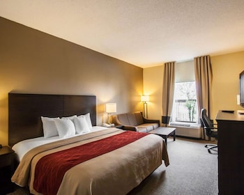 Standard Room, 1 King Bed, Non Smoking