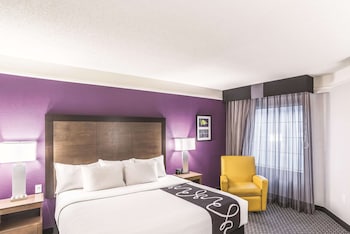 Room, 1 King Bed, Accessible, Non Smoking (Roll-In Shower)