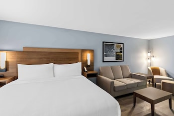 Executive Room, 1 King Bed, Non Smoking, Refrigerator & Microwave (Larger Room;with Sofabed)