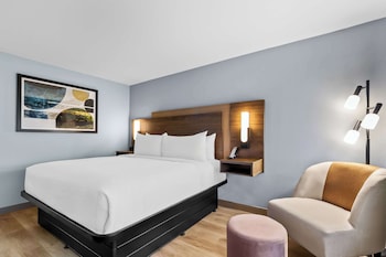 Standard Room, 1 King Bed, Non Smoking, Refrigerator & Microwave